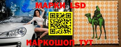 гашик Бузулук