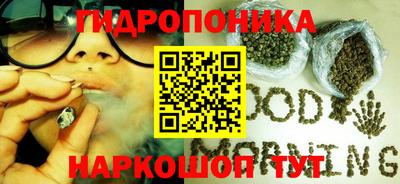 гашик Бузулук