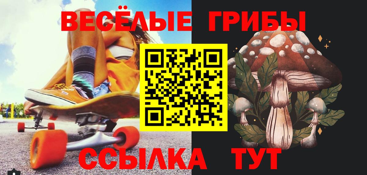 Галлюциногенные грибы Magic Shrooms Новороссийск