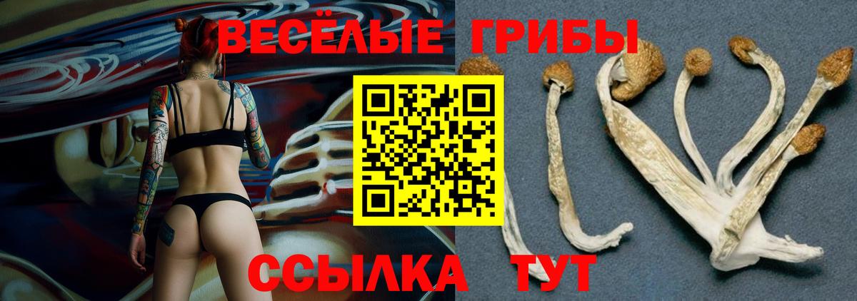 Псилоцибиновые грибы Psilocybe  Галлюциногенные грибы ЛСД  Вход с VPN  как найти закладки  Новороссийск 